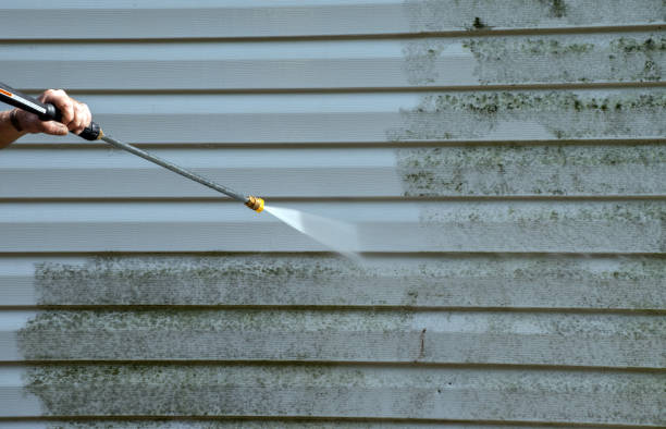 Best Local Pressure Washing Services  in Carnation, WA