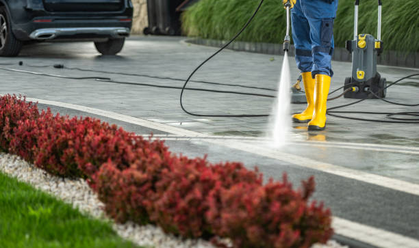 Best Pressure Washing Services Near Me  in Carnation, WA