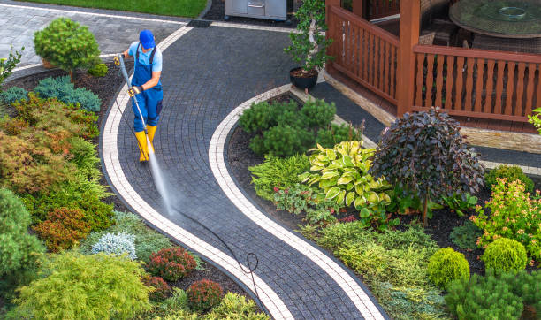 Best Pressure Washing Patio  in Carnation, WA